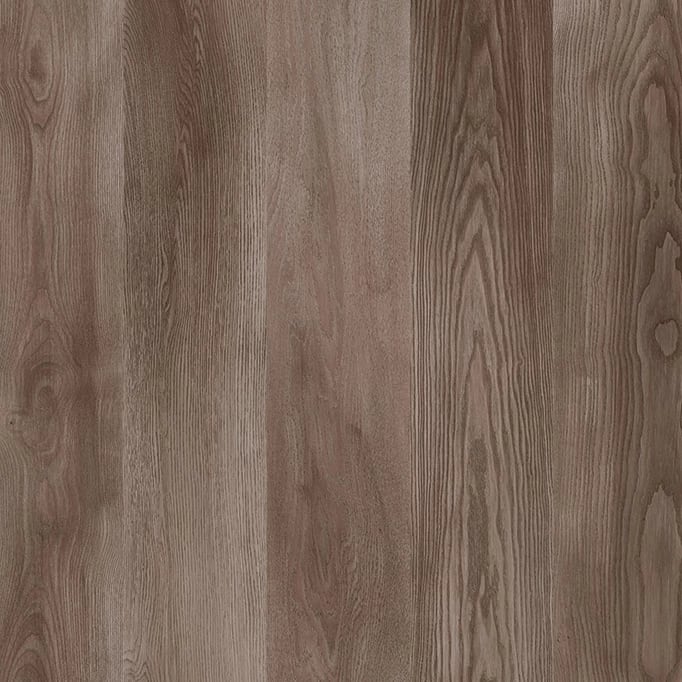 MARCO POLO PREMIUM Panama