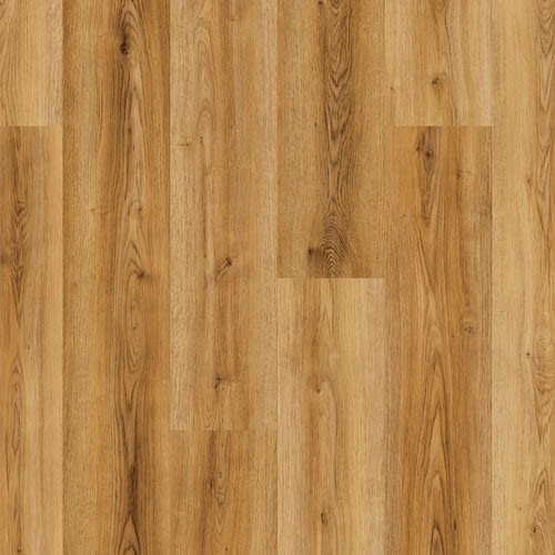 O462 Oak Schönbrunn