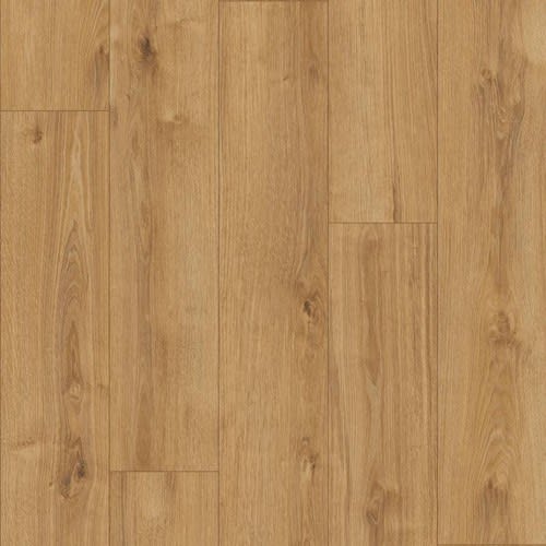 K794 Old Camberwick Oak