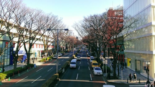 日本旅遊｜東京自助｜新手一看就懂！鐵路交通，行程路線規劃懶人包