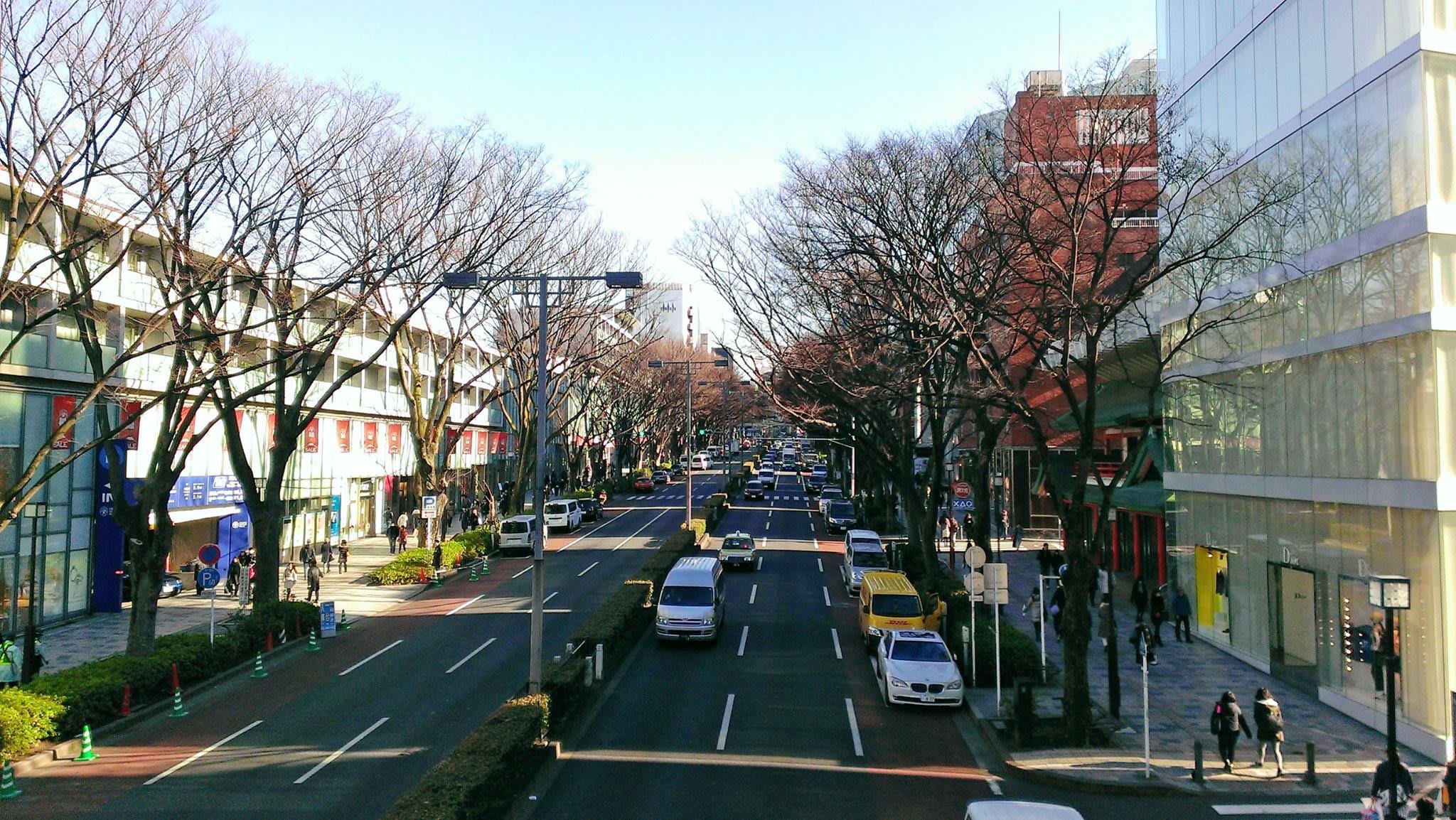 日本旅遊｜東京自助｜新手一看就懂！鐵路交通，行程路線規劃懶人包