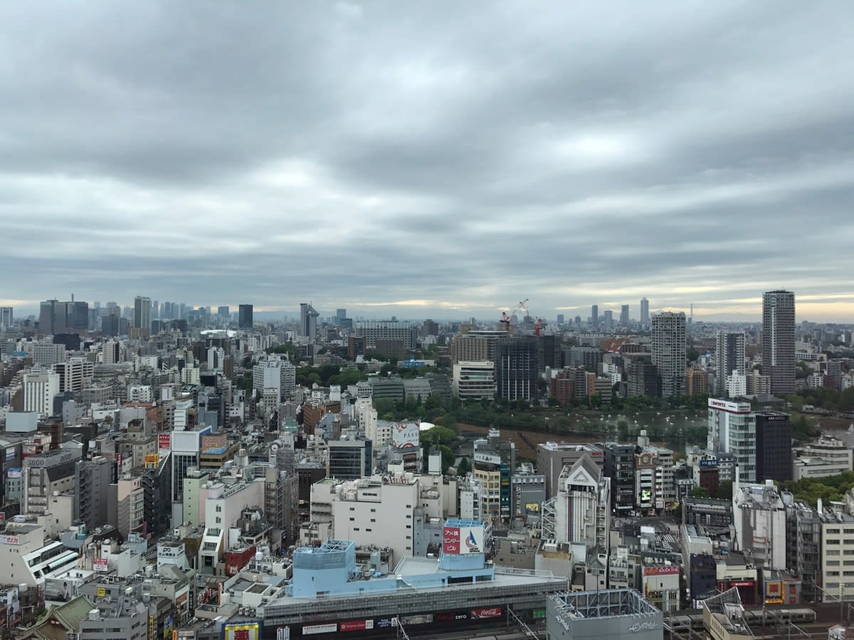 可惜看不到晴空塔