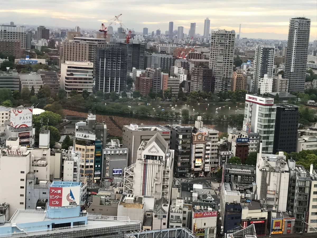 窗景