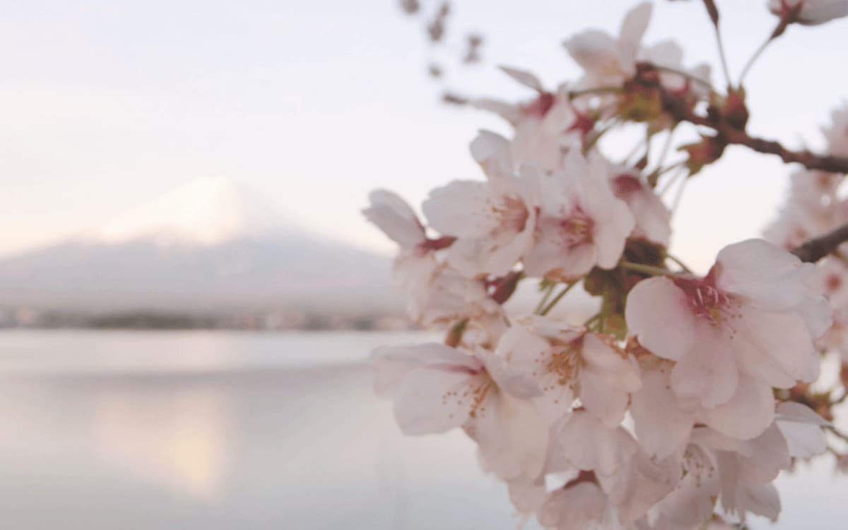 日本自助｜湖景民宿 Lake Villa Kawaguchiko，富士山河口湖邊滿分別墅（2024年更新）