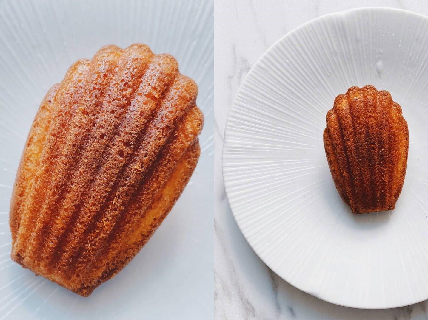 瑪德蓮（Photo by Natalie）