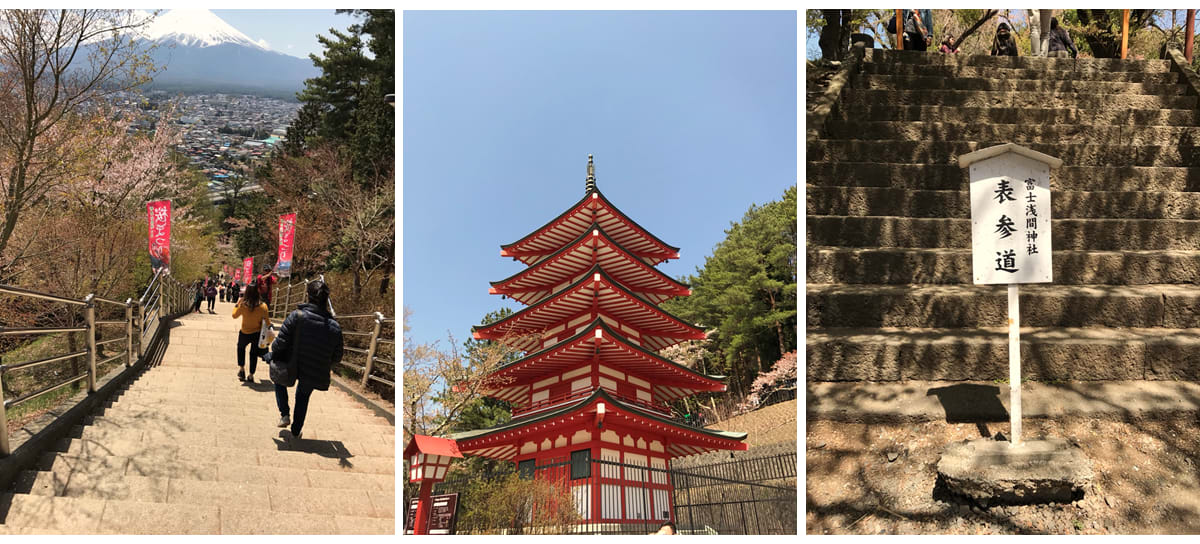 富士急行巴士-富士山-富士山河口湖-賞櫻-半日遊-賞櫻半日行程-逆富士-新倉山淺間神社-忍野八海-賞楓