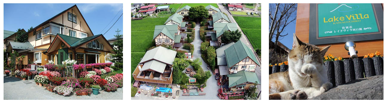 新倉山淺間神社-河口湖櫻花-Lake Villa Kawaguchiko-河口湖-富士山-日本-民宿-別墅-湖畔別墅-卡瓦吉斯克酒店-飯店-自助-賞櫻-櫻花