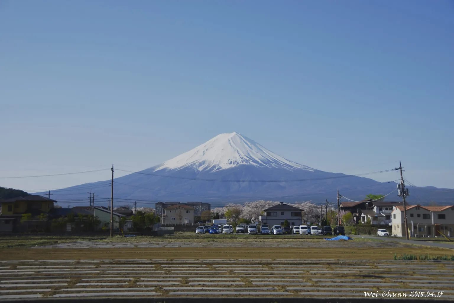 富士山-河口湖櫻花-Lake Villa Kawaguchiko-河口湖-富士山-日本-民宿-別墅-湖畔別墅-卡瓦吉斯克酒店-飯店-自助-賞櫻-櫻花