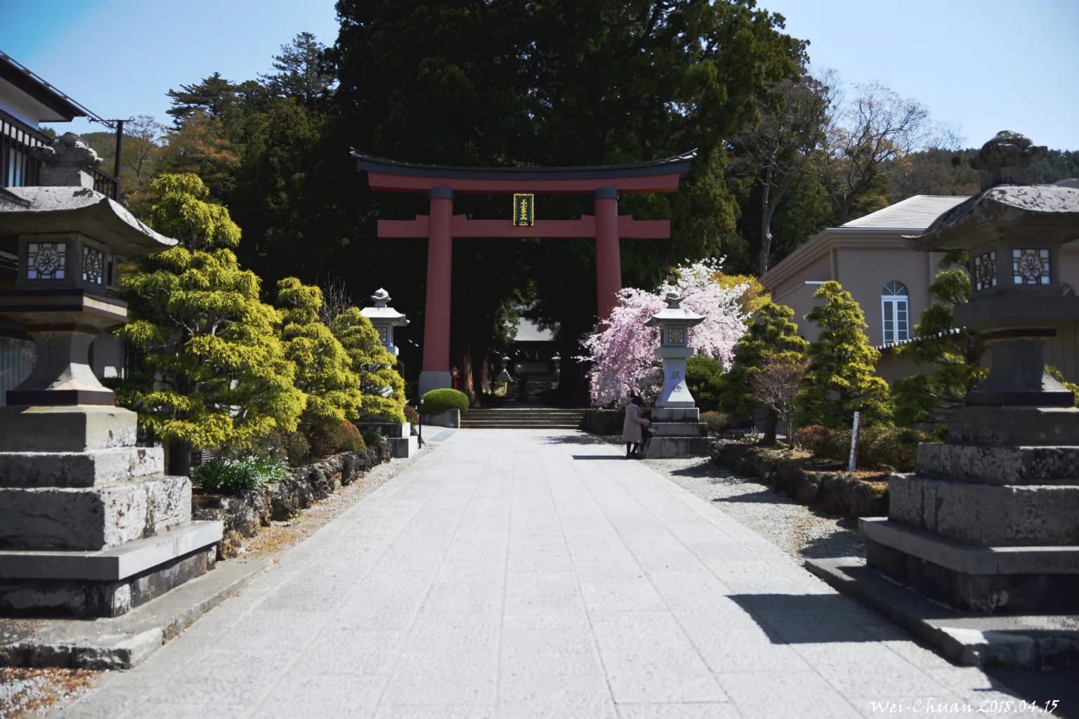 富士淺間神社-Lake Villa Kawaguchiko-河口湖-富士山-日本-民宿-別墅-湖畔別墅-卡瓦吉斯克酒店-飯店-自助-賞櫻-櫻花