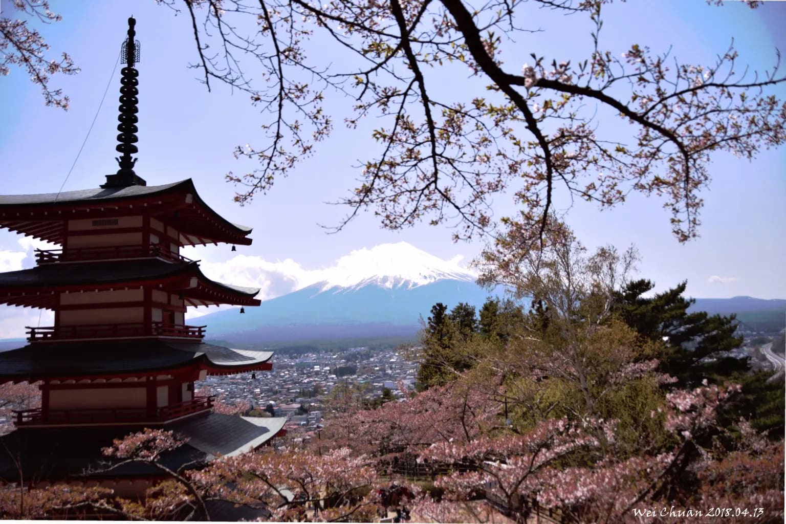 新倉山淺間神社-河口湖櫻花-Lake Villa Kawaguchiko-河口湖-富士山-日本-民宿-別墅-湖畔別墅-卡瓦吉斯克酒店-飯店-自助-賞櫻-櫻花