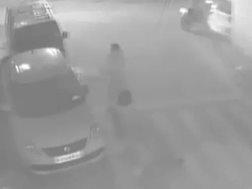 उदयपुर में बदमाश बेखौफ, वाहनों में तोड़फोड़