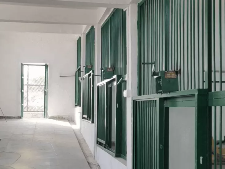 सज्जनगढ़ लॉयन सफारी में 4 दिन से लापता हुई शेरनी सुनयना