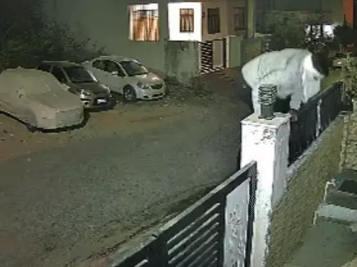 सूने मकान में चोरी,बिना नंबर की कार से आए बदमाश