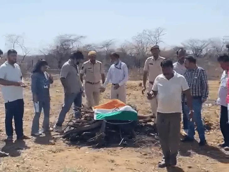 उदयपुर में राष्ट्रीय पक्षी मोर के शिकार का मामला आया सामने, वन्यजीव संरक्षण अधिनियम के तहत दर्ज हुआ मामला