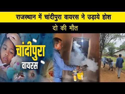 राजस्थान में चांदीपुरा वायरस ने उड़ाये होश, दो की मौत