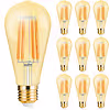 10x LED Lamp E27 Edison Filament Brinton 6W ST64 Dimbaar 10x LED Lamp E27 Edison Filament Brinton 6W ST64 Dimbaar