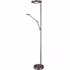 Dimmable LED Floor Lamp 38W - Antique Bronze Design Dimmable LED Floor Lamp 38W - Antique Bronze Design
