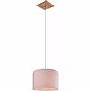 LED Pendant Lamp Trion Elmo - Antique Nickel, E27 Fitting LED Pendant Lamp Trion Elmo - Antique Nickel, E27 Fitting