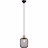 LED Hanglamp Trion Kalim - Mat Zwart Aluminium - E27 Fitting