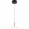 Dimbare Metalen LED Hanglamp 10W - Warm Wit - Trion Lester Dimbare Metalen LED Hanglamp 10W - Warm Wit - Trion Lester