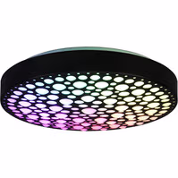 Trion Carol LED ceiling light 22W 2500lm RGB dimmable matte black Trion Carol LED ceiling light 22W 2500lm RGB dimmable matte black