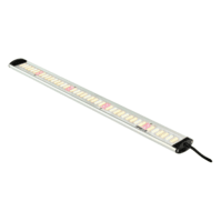 Apollo Falcon 60 PRO