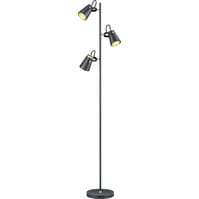 LED Vloerlamp Trion Edwy - Zwarte 3-lichts Vloerlamp