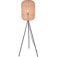 LED Floor Lamp Trion Tuna - Matte Nickel & Aluminum