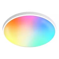 Smart Plafondlamp 20W Ø300mm RGB Wi‑Fi Dimbaar