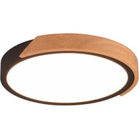 Trion Jersa dimbare LED plafondlamp mat zwart 20W