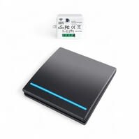 Slimme Draadloze Schakelaar | Zwart | Inclusief RF Ontvangers | App & spraakbediening