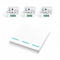 Slimme Draadloze Schakelaar | Wit | 3 knoppen | Inclusief RF Ontvanger 10A