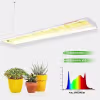 Rechthoekige zwarte LED kweeklamp 74 Watt full-spectrum geschikt voor 60x120 cm kweekruimte Rechthoekige zwarte LED kweeklamp 74 Watt full-spectrum geschikt voor 60x120 cm kweekruimte