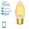 Rookkleurige LED filament lamp met E27 fitting, 6W vermogen en warm wit licht 3000K in aluminium behuizing Rookkleurige LED filament lamp met E27 fitting, 6W vermogen en warm wit licht 3000K in aluminium behuizing