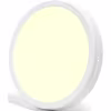 Opbouw LED Downlight Rond 24W Warm Wit 3000K Ø30cm Binnenverlichting Opbouw LED Downlight Rond 24W Warm Wit 3000K Ø30cm Binnenverlichting