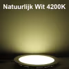 HLW LED Surface-Mounted LED Downlight 10W - Round Matte Black LED Lamp Natural White 4200K Ø140mm