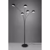HLW LED LED Vloerlamp Trion Ditora - Zwarte Vloerlamp met 5x E14 Fitting en Aluminium HLW LED LED Vloerlamp Trion Ditora - Zwarte Vloerlamp met 5x E14 Fitting en Aluminium