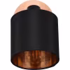 HLW LED LED Wall Spotlight Trion Torry - Matte Brown, Aluminum, E14 Fitting, LED Spotlight HLW LED LED Wall Spotlight Trion Torry - Matte Brown, Aluminum, E14 Fitting, LED Spotlight