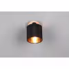 HLW LED LED Wall Spotlight Trion Torry - Matte Brown, Aluminum, E14 Fitting, LED Spotlight HLW LED LED Wall Spotlight Trion Torry - Matte Brown, Aluminum, E14 Fitting, LED Spotlight