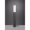 HLW LED LED Tuinverlichting - Staande Buitenlamp - Trion Ficco XL - 15W - Warm Wit 3000K - Rechthoek - Mat Antraciet - Aluminium HLW LED LED Tuinverlichting - Staande Buitenlamp - Trion Ficco XL - 15W - Warm Wit 3000K - Rechthoek - Mat Antraciet - Aluminium