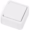 Witte opbouw wisselschakelaar met één knop, geschikt voor 250V 10A, eenvoudig te monteren Witte opbouw wisselschakelaar met één knop, geschikt voor 250V 10A, eenvoudig te monteren