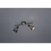Mat zwarte LED plafondspot met 2 lichtpunten en E14 fitting geschikt tot 40W
