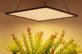 LED Grow Panel | 35W | Full-Spectrum LED Grow Panel | 35W | Full-Spectrum