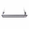 MIGRO ARAY 1 LED Kweeklamp MIGRO ARAY 1 LED Kweeklamp