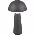 LED Tafellamp - Trion Lungo - 2W - Aanpasbare kleur - Oplaadbare batterijen - Antraciet - Gegoten Aluminium LED Tafellamp - Trion Lungo - 2W - Aanpasbare kleur - Oplaadbare batterijen - Antraciet - Gegoten Aluminium