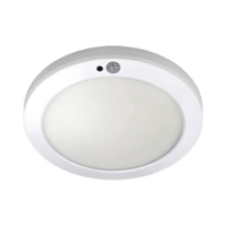 LED Downlights Dimmable