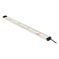 Apollo Falcon Series