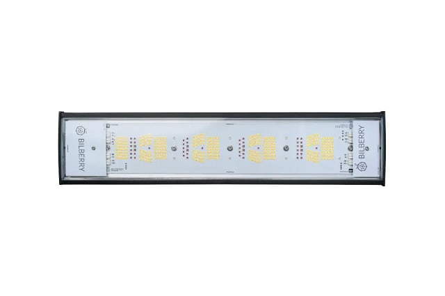 compacte zwarte LED kweeklamp met 160W full-spectrum licht en footprint van 120 bij 20 centimeter