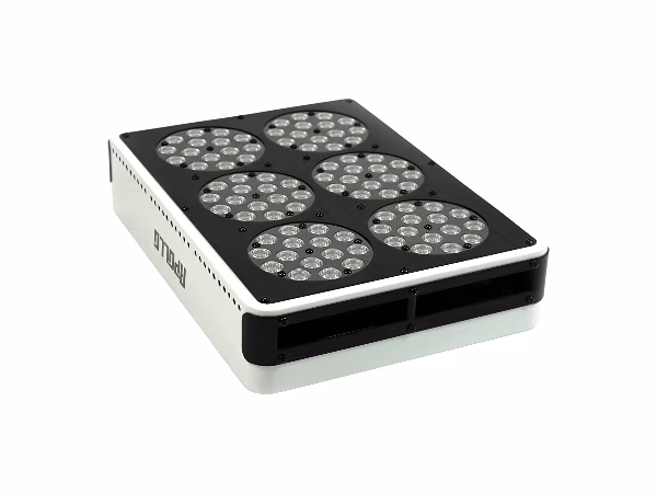 rechthoekige zwarte Apollo 6 LED kweeklamp met 270 watt vermogen en full-spectrum verlichting voor 80x80 cm groei en bloei rechthoekige zwarte Apollo 6 LED kweeklamp met 270 watt vermogen en full-spectrum verlichting voor 80x80 cm groei en bloei