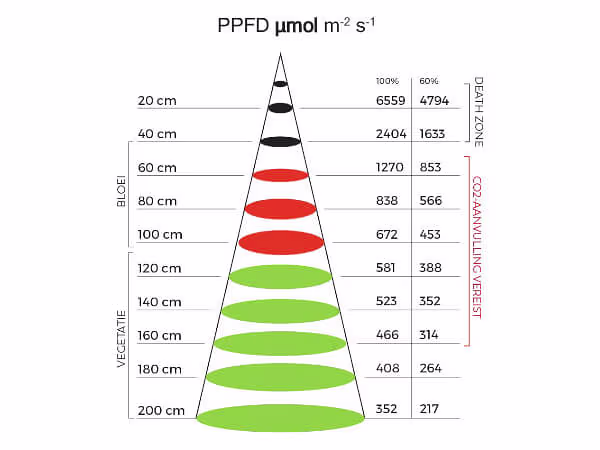 Spectro Light Spectro Light Blast 500 Limited Edition Spectro Light Spectro Light Blast 500 Limited Edition